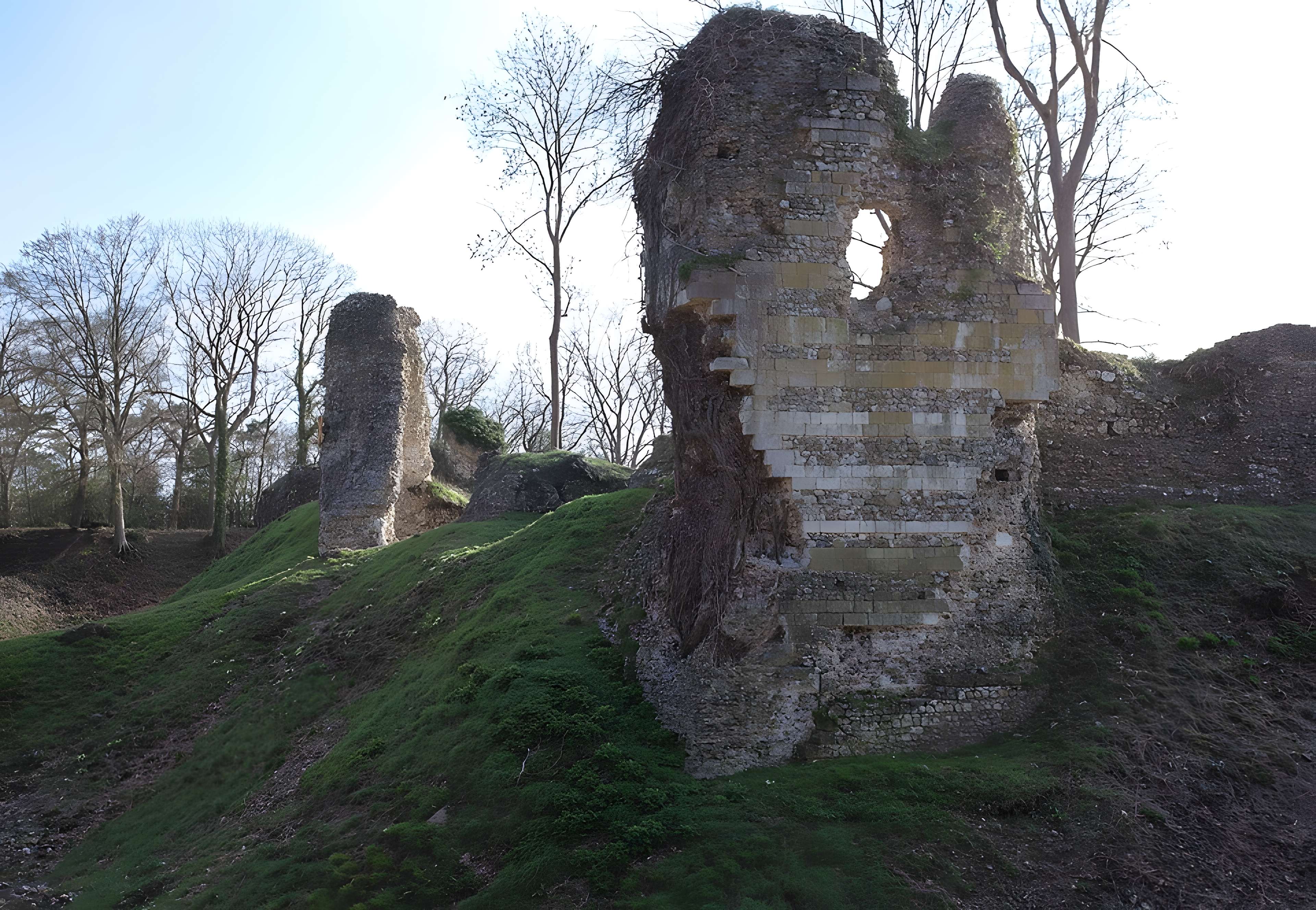 Château de Montfort-sur-Risle