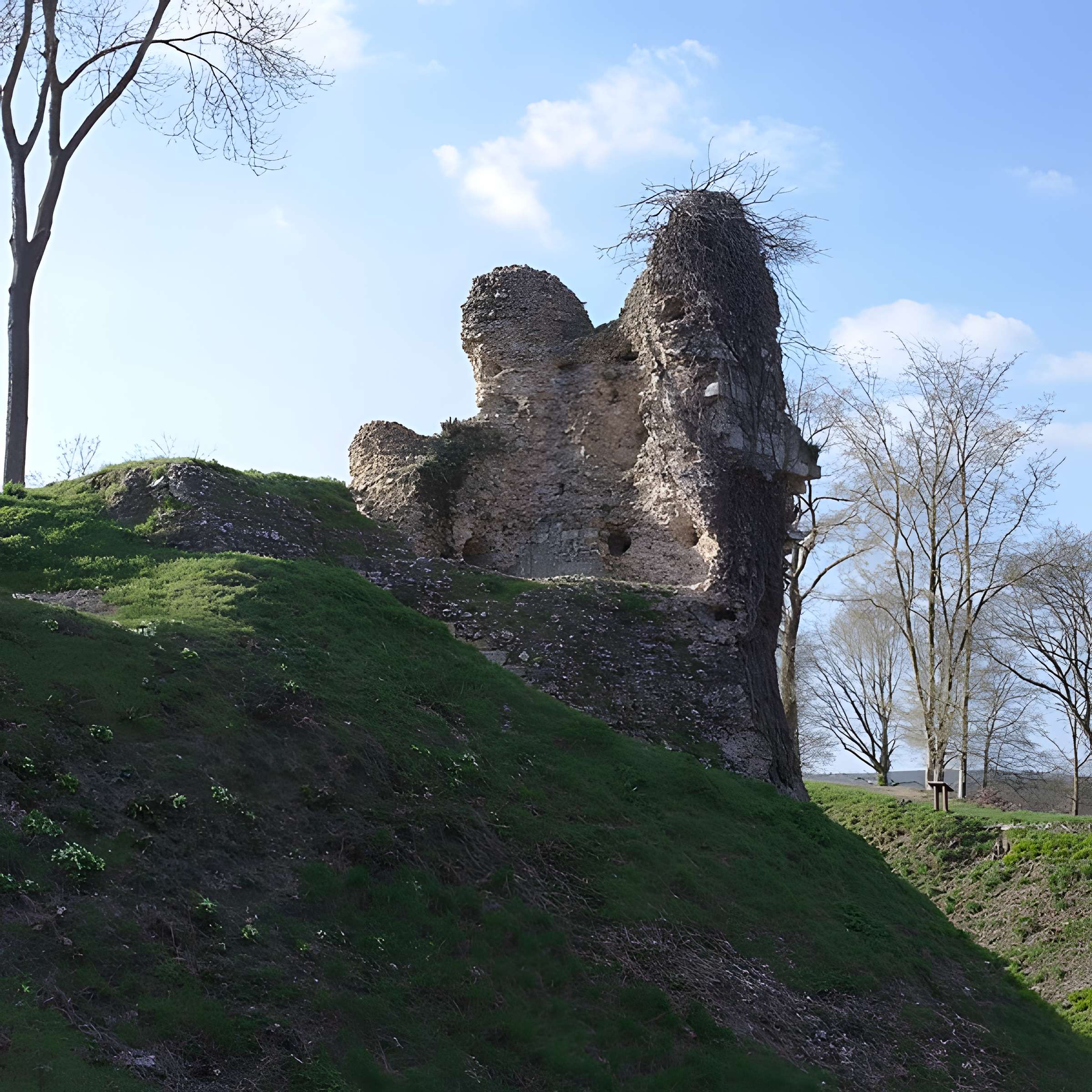 Château de Montfort-sur-Risle