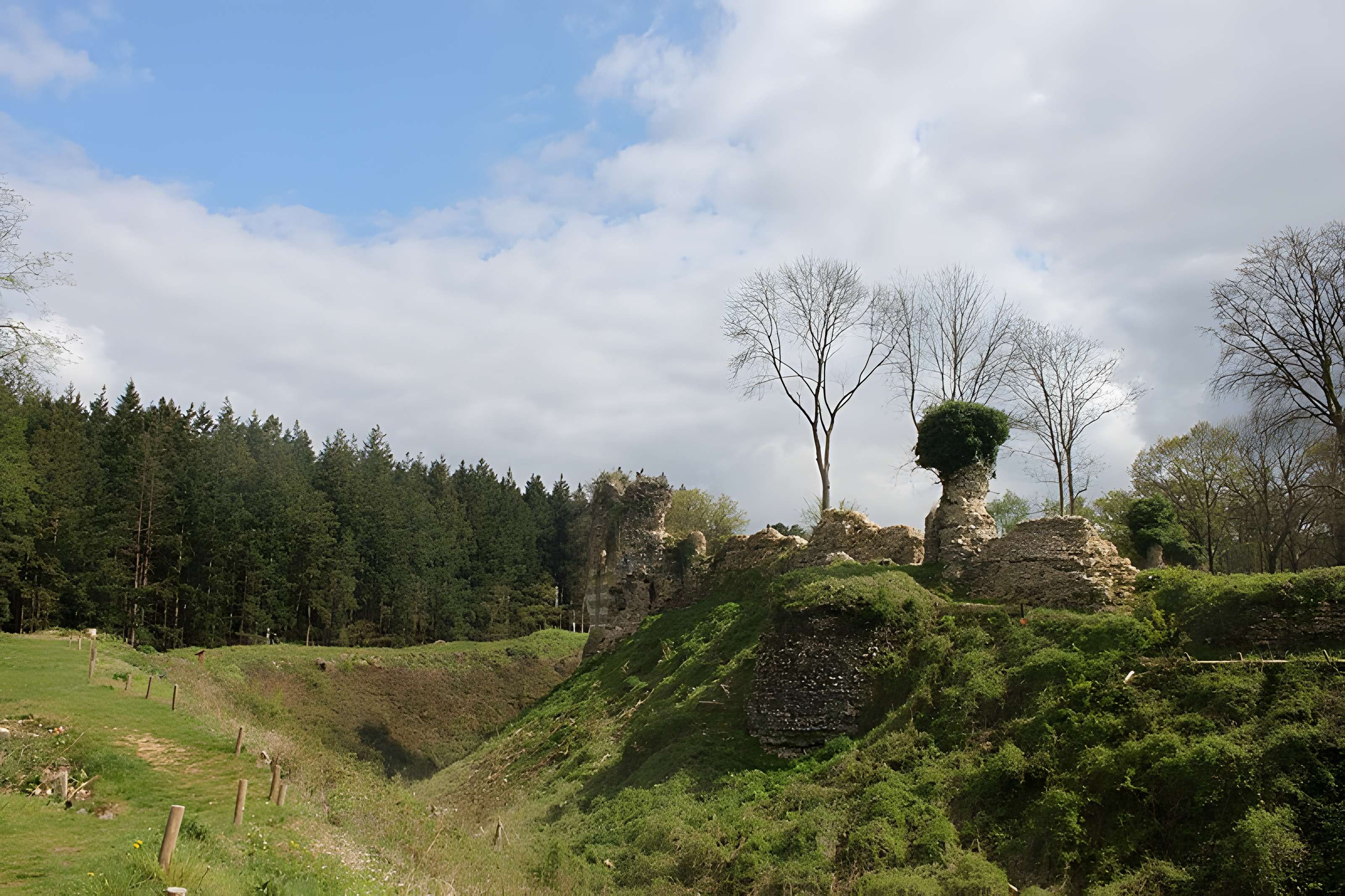 Château de Montfort-sur-Risle