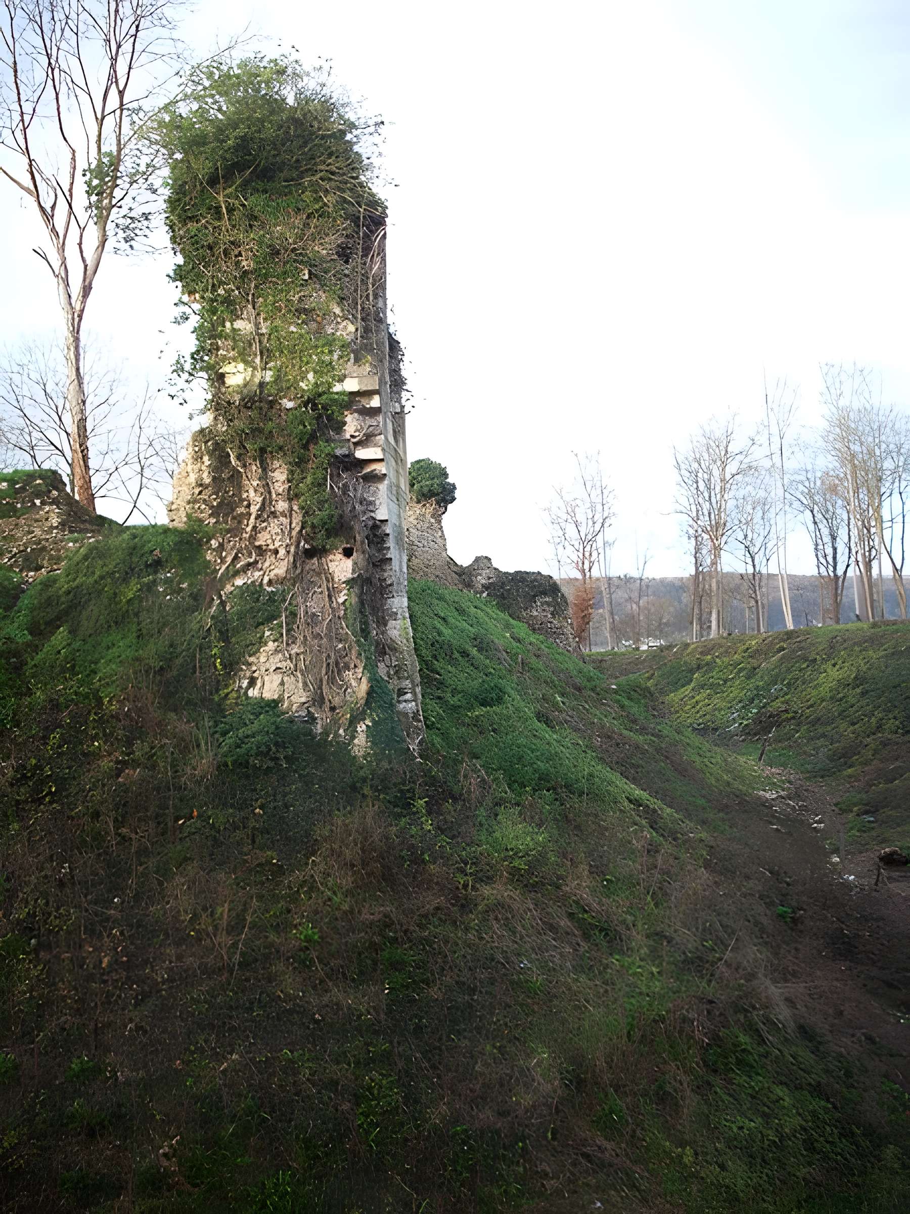 Château de Montfort-sur-Risle