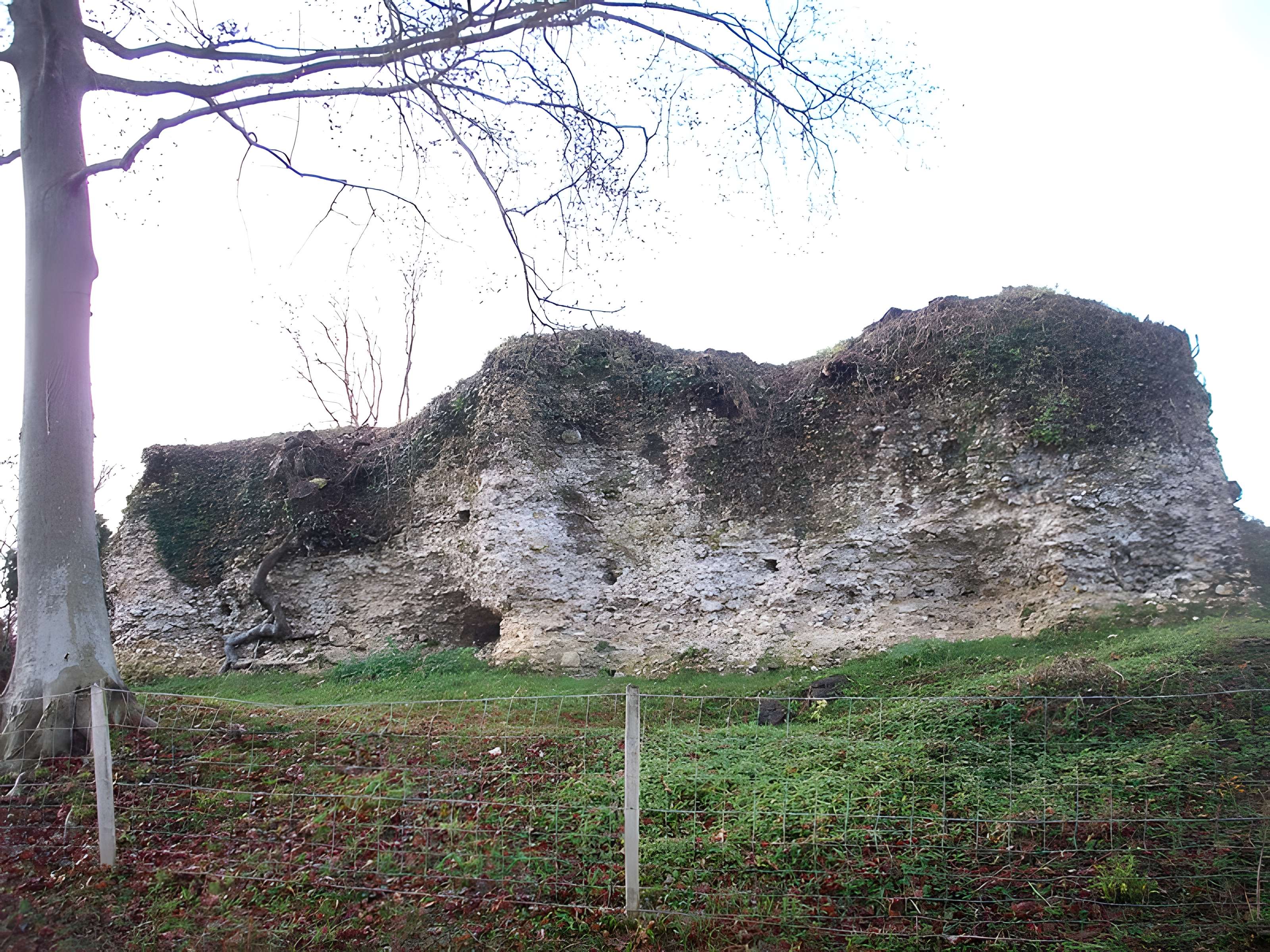 Château de Montfort-sur-Risle