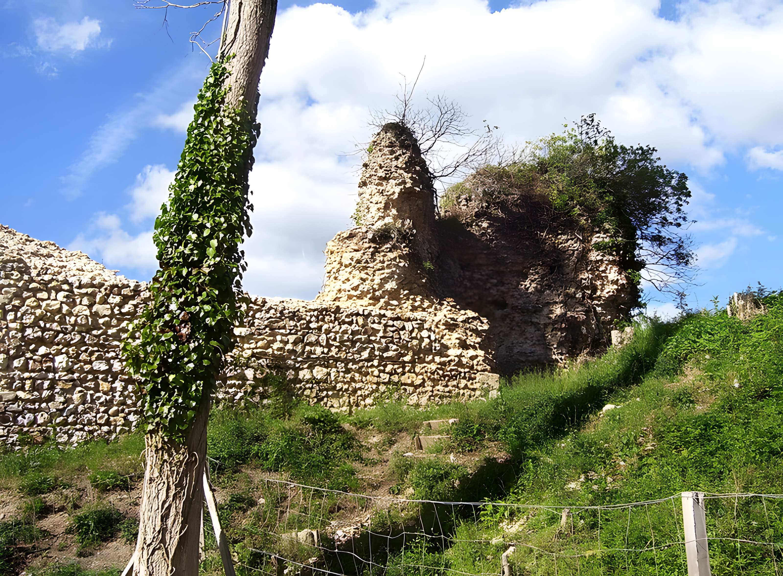Château de Montfort-sur-Risle
