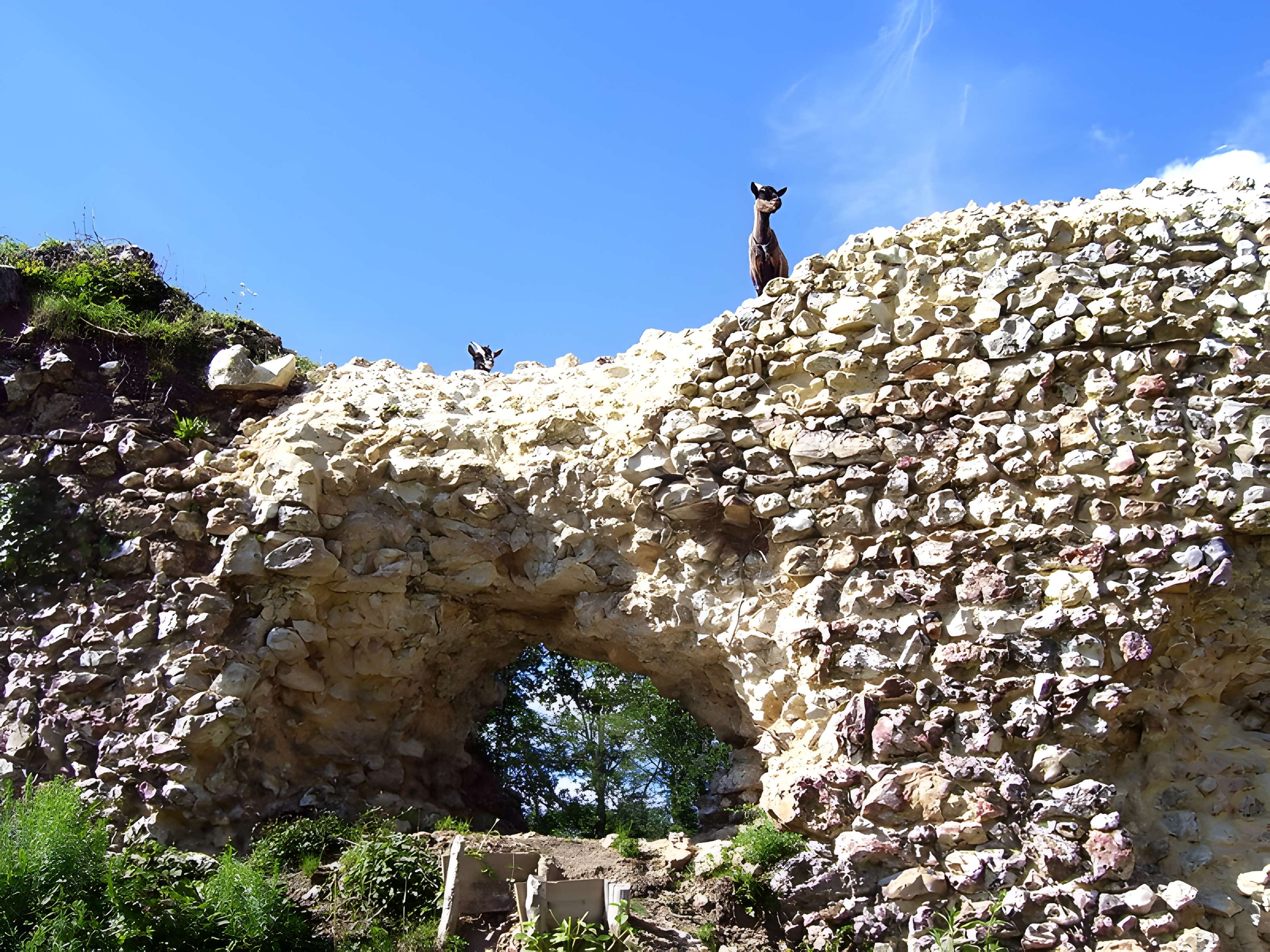 Château de Montfort-sur-Risle