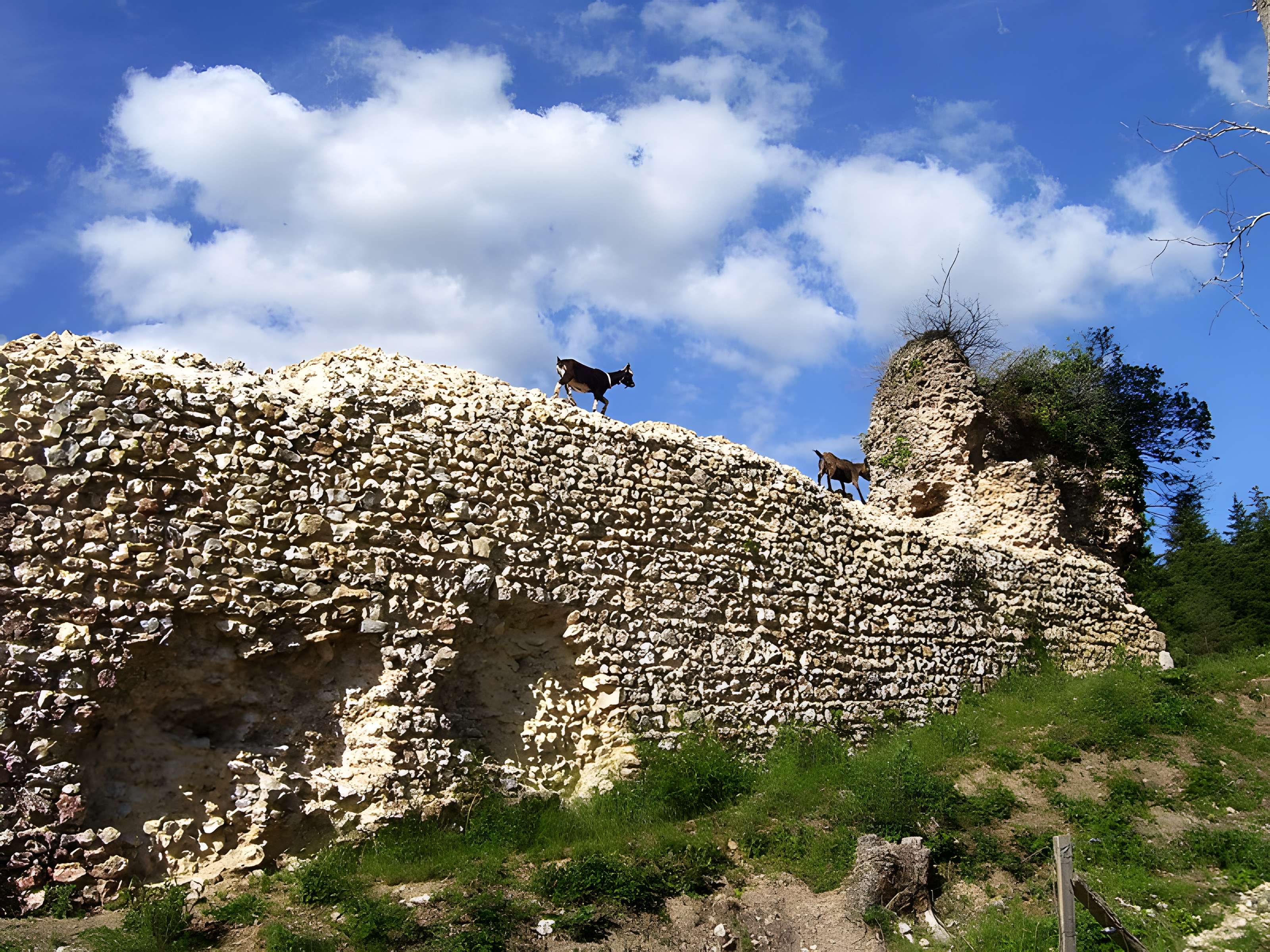 Château de Montfort-sur-Risle