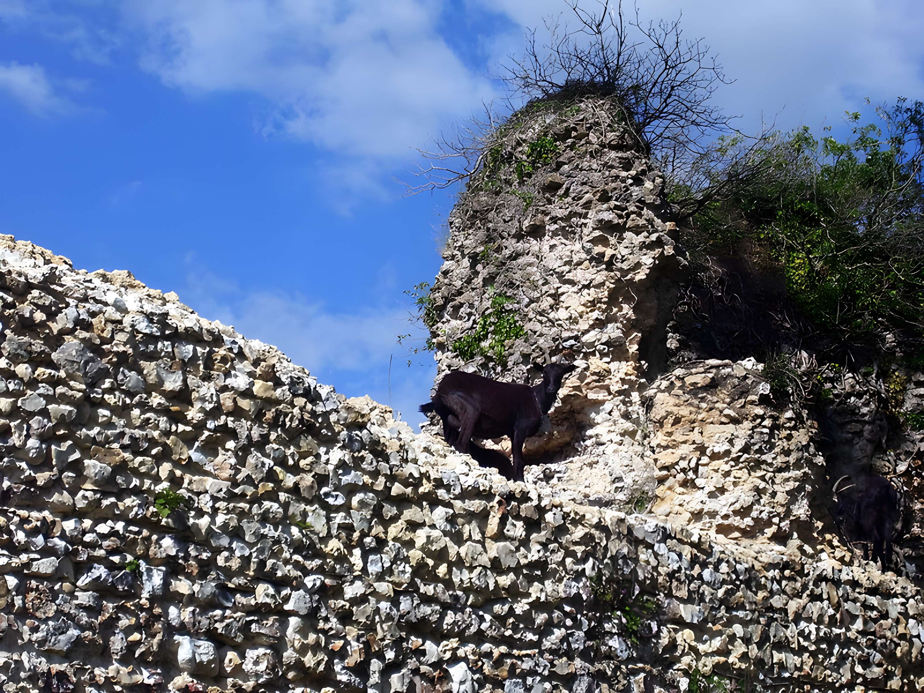 Château de Montfort-sur-Risle