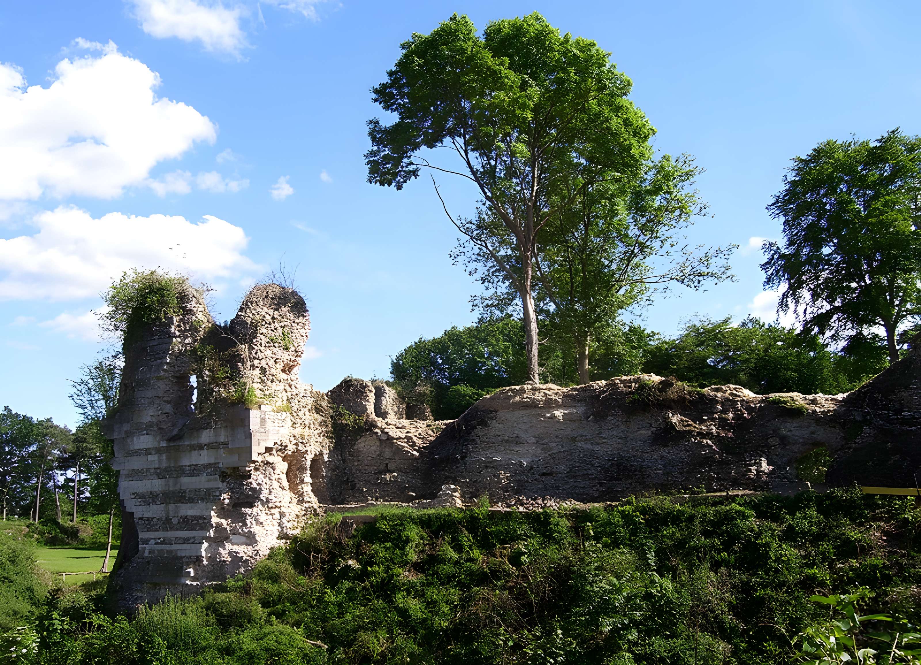 Château de Montfort-sur-Risle