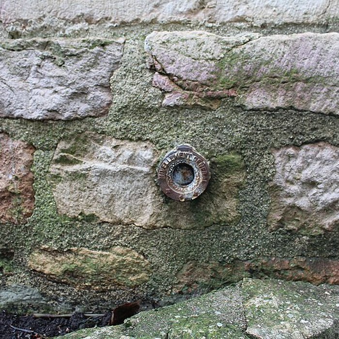 Photo de Église Notre-Dame-de-Pitié de Biziat