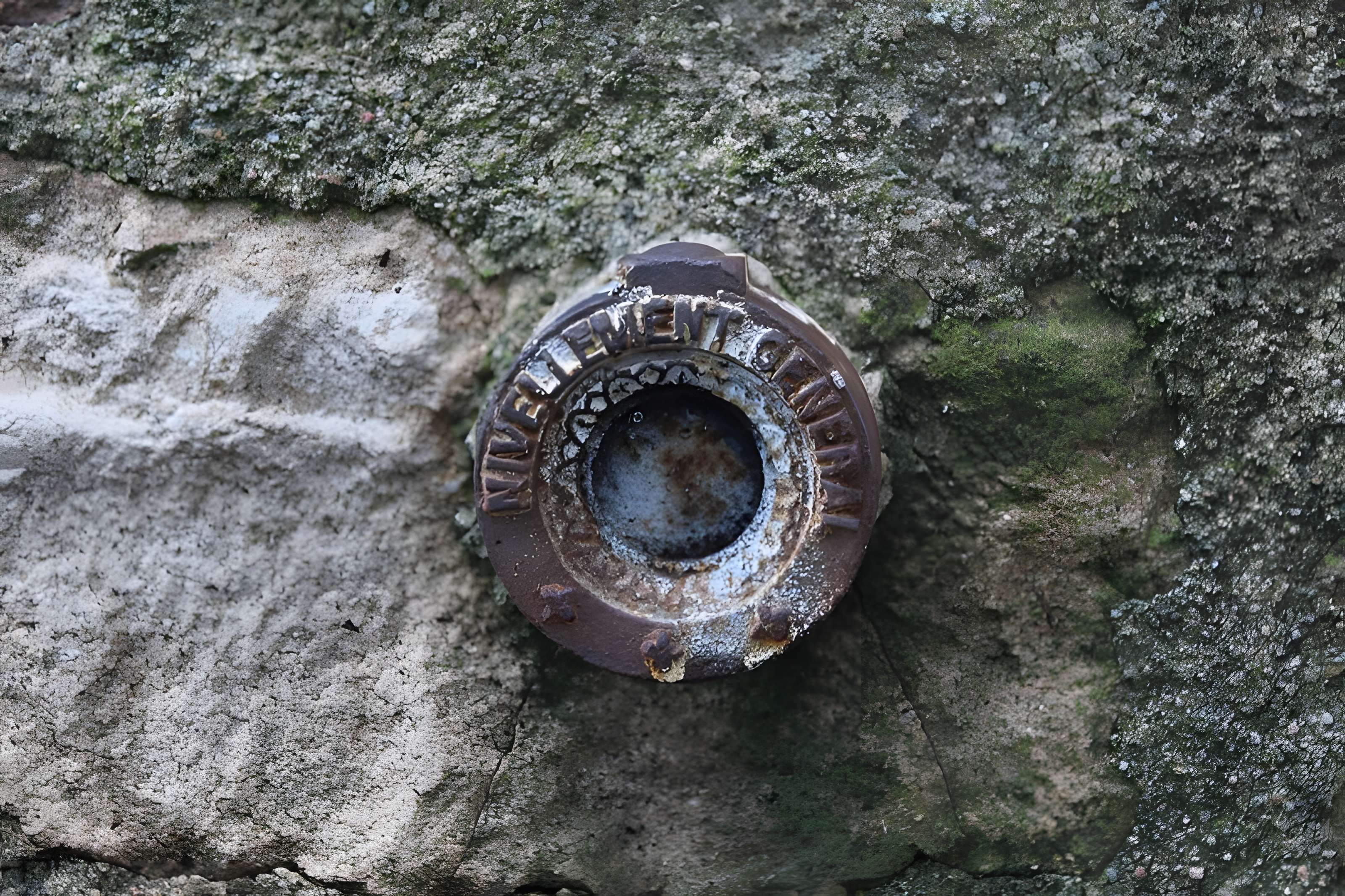 Église Notre-Dame-de-Pitié de Biziat