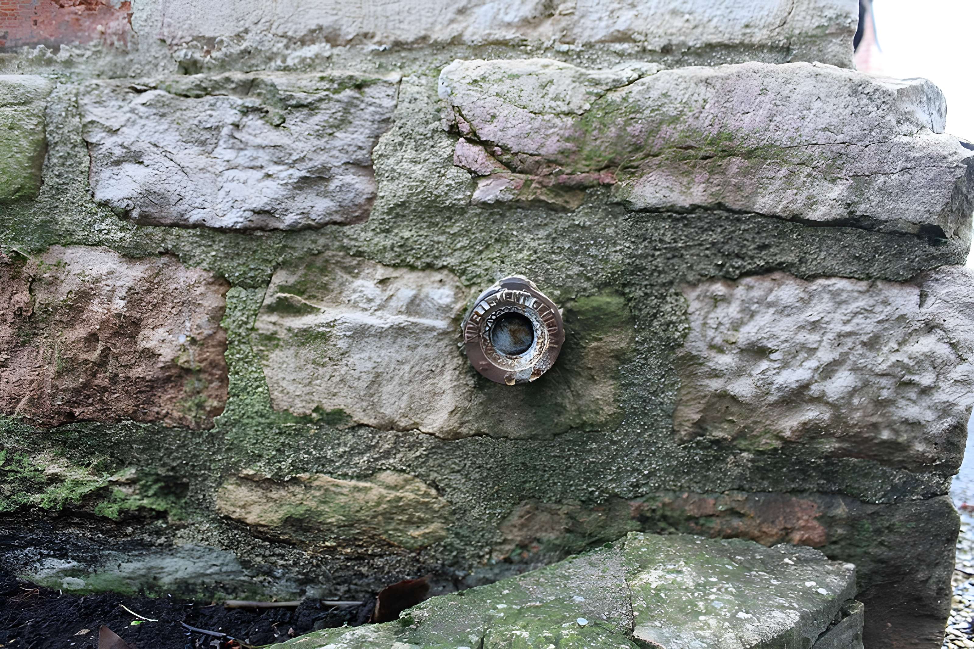 Église Notre-Dame-de-Pitié de Biziat