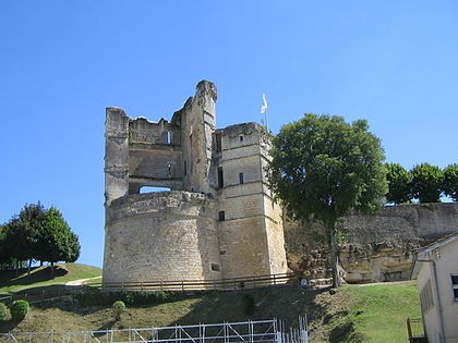 Photo de Château de Montguyon