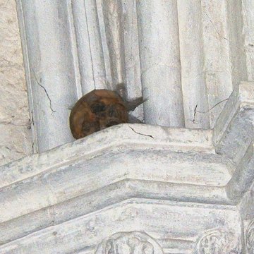 Église Notre-Dame-des-Pommiers de Largentière