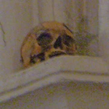 Église Notre-Dame-des-Pommiers de Largentière