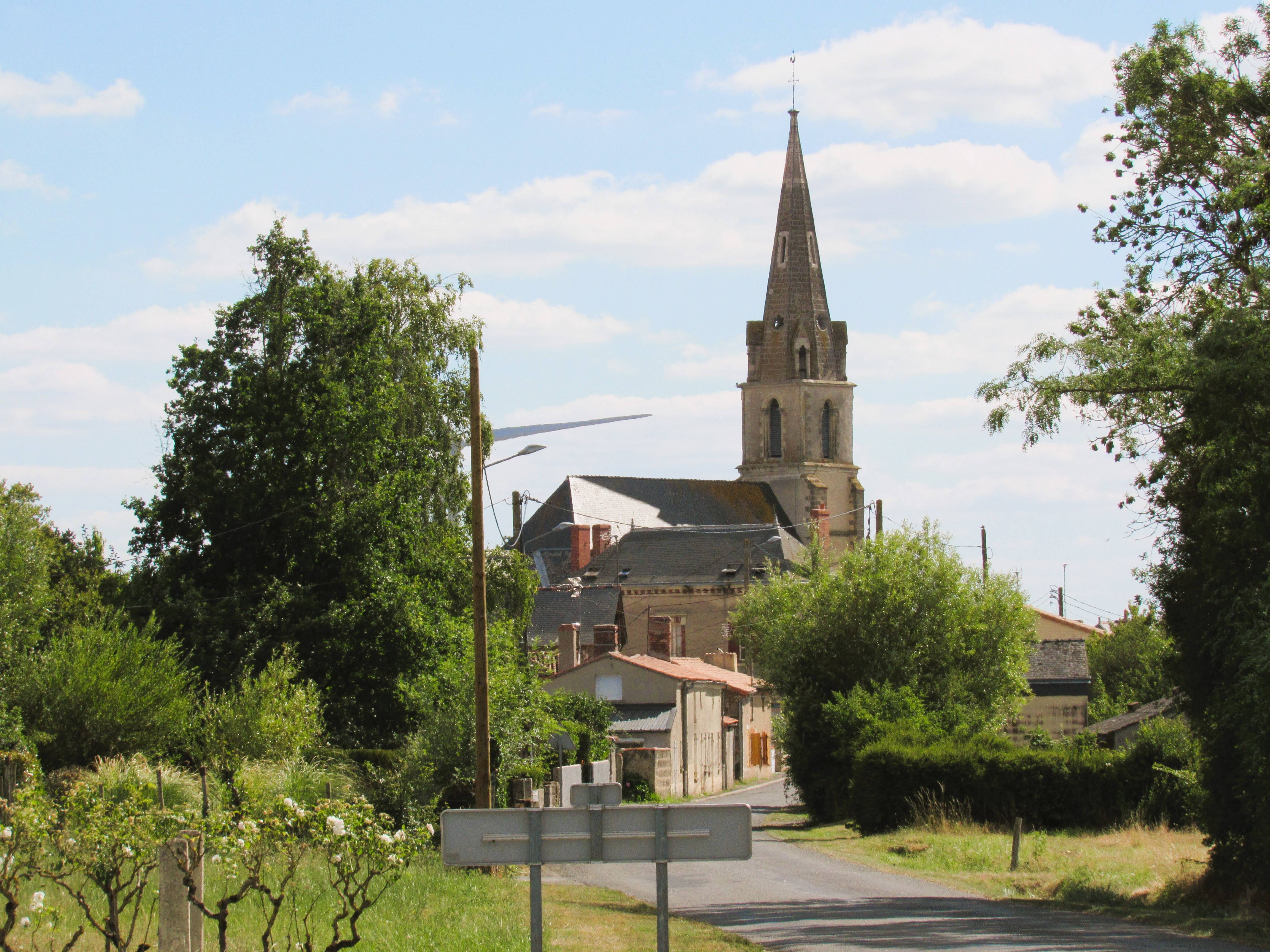 Photo de Église Saint-Martin-de-Vertou des Cerqueux-sous-Passavant