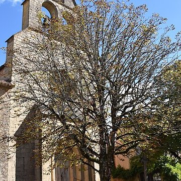Église Notre-Dame-du-Bourg de Biron