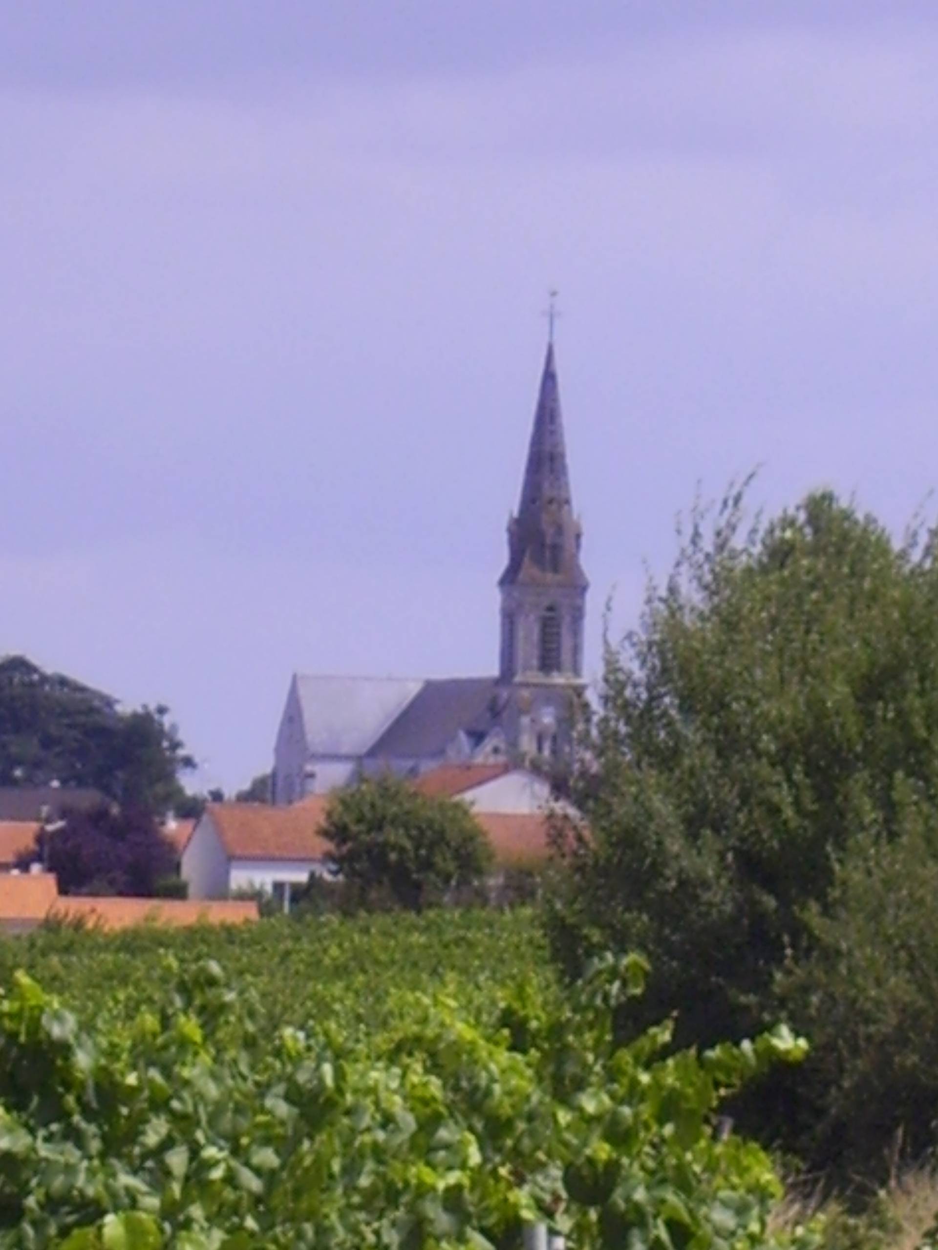 Photo de Église Saint-Pierre de Bouzillé