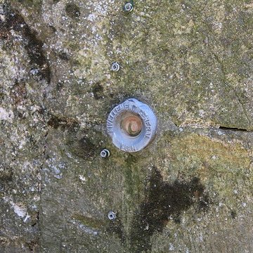 Église Notre-Dame-et-Saint-Martin de Cruis