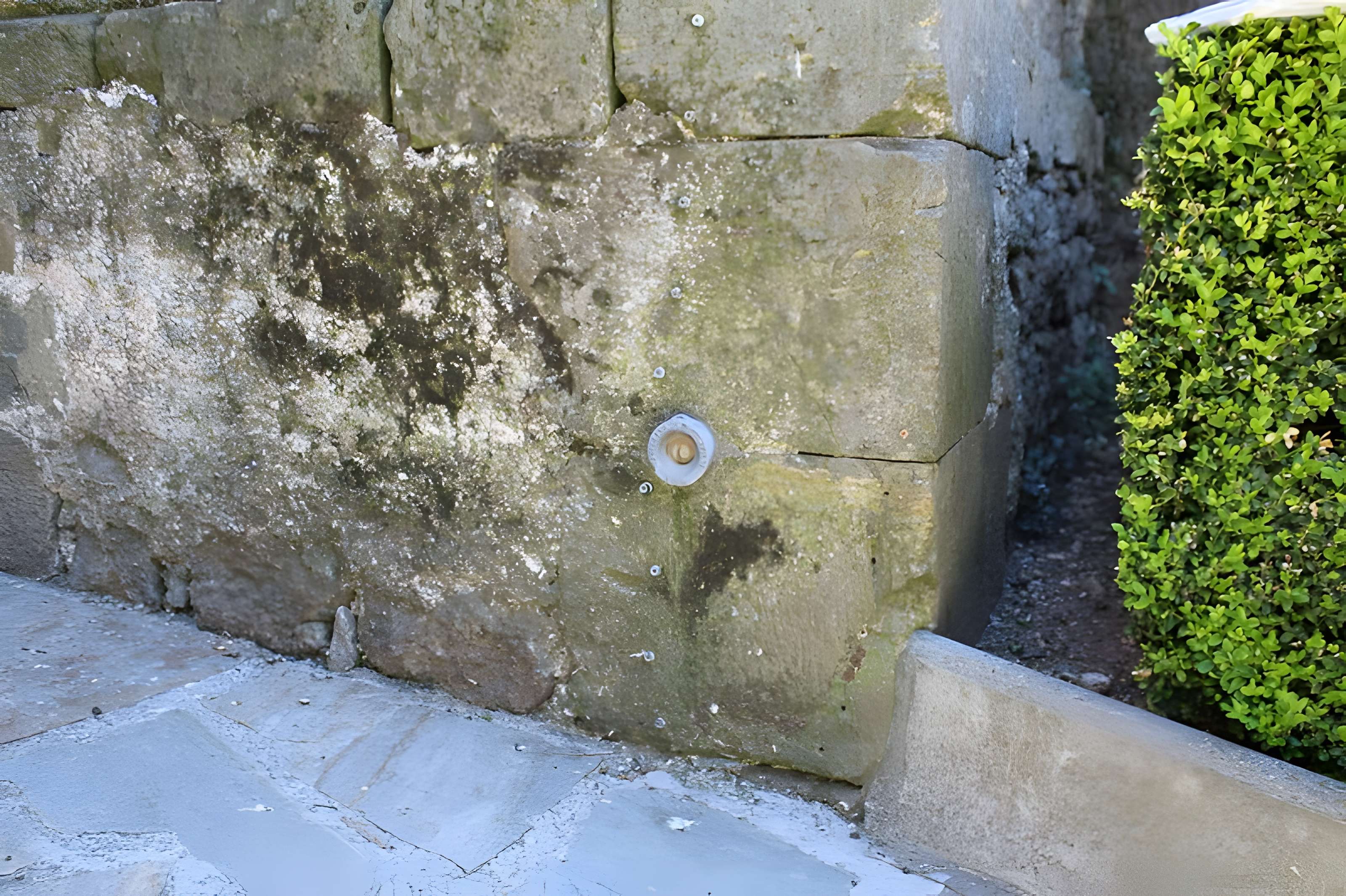 Église Notre-Dame-et-Saint-Martin de Cruis