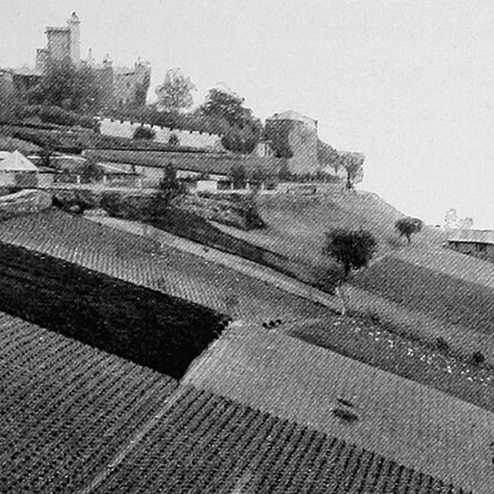 Photo de Château de Montmelas