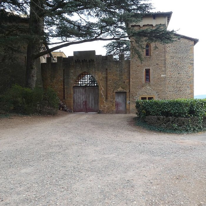 Photo de Château de Montmelas