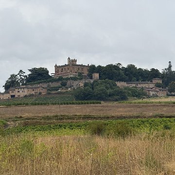 Château de Montmelas