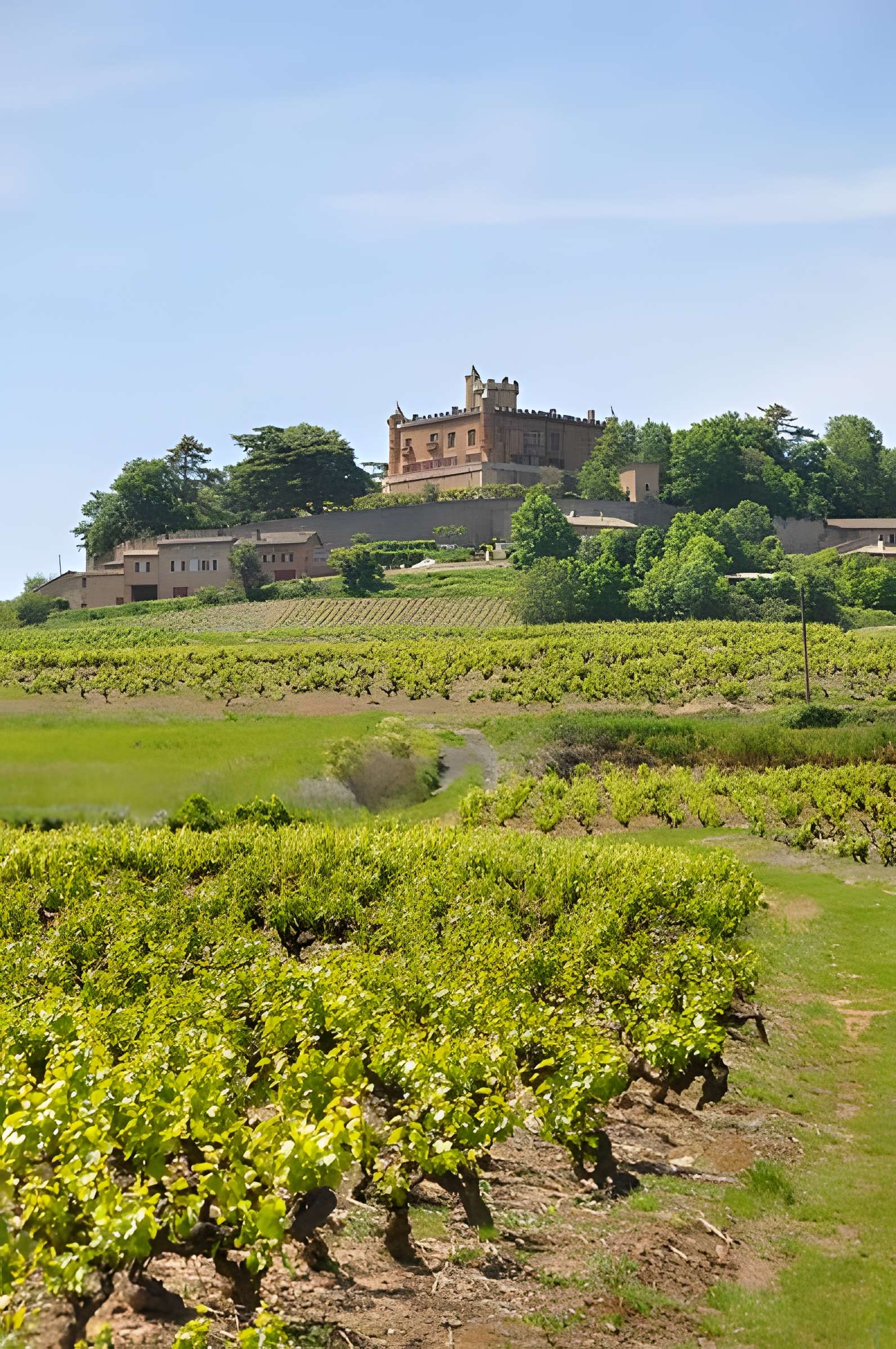 Château de Montmelas
