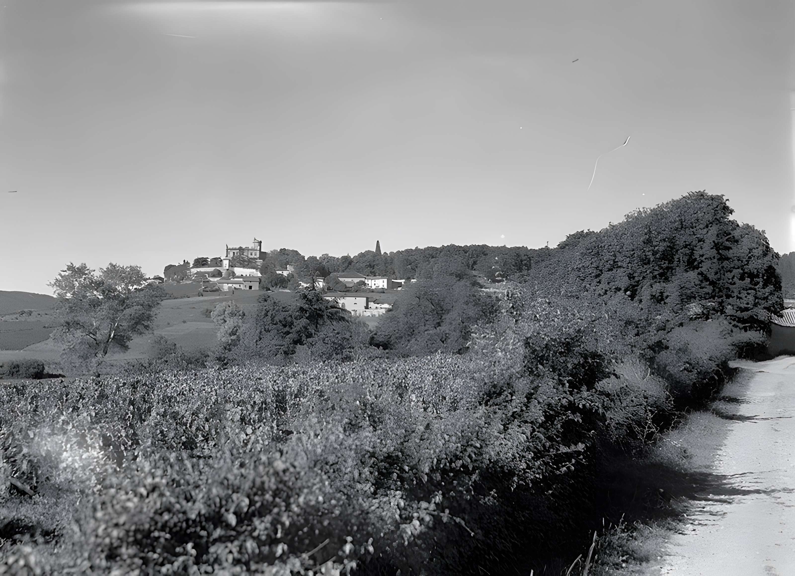 Château de Montmelas