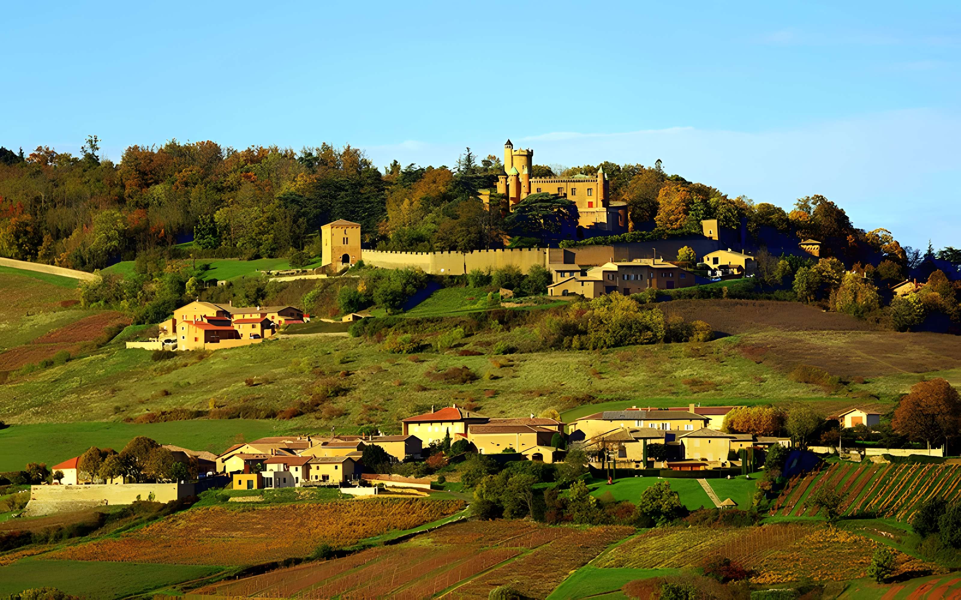 Château de Montmelas
