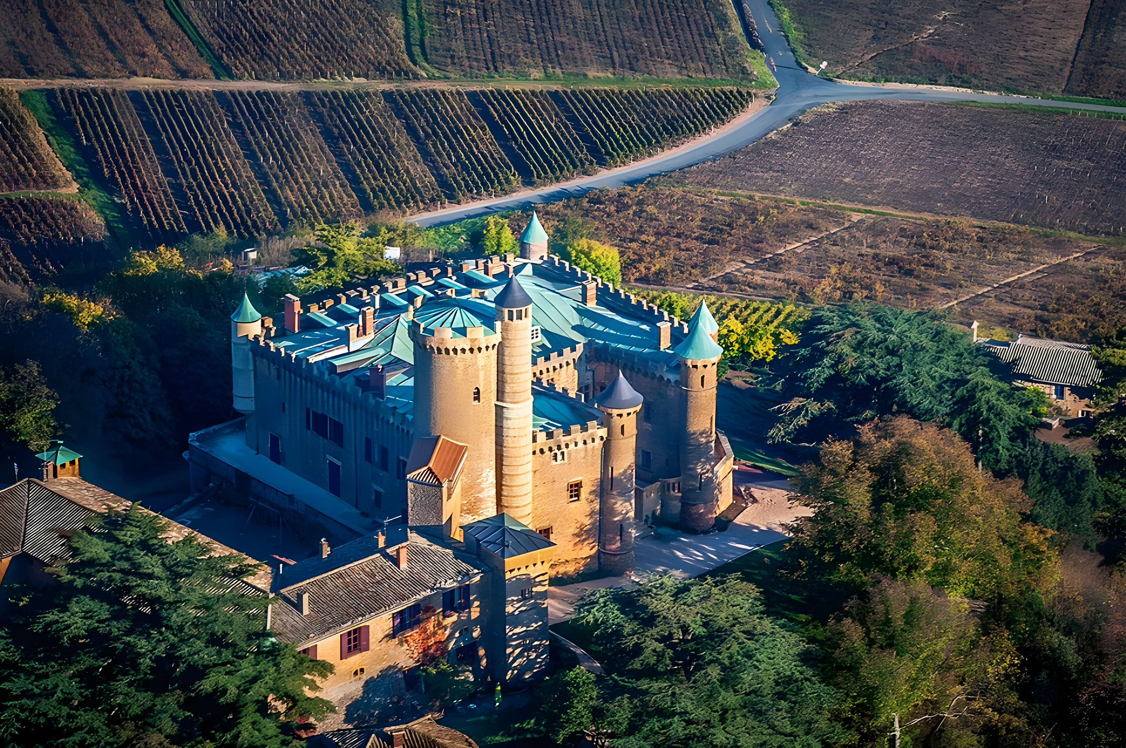 Château de Montmelas