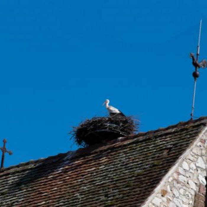 Photo de Église protestante de Muntzenheim