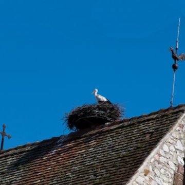 Église protestante de Muntzenheim