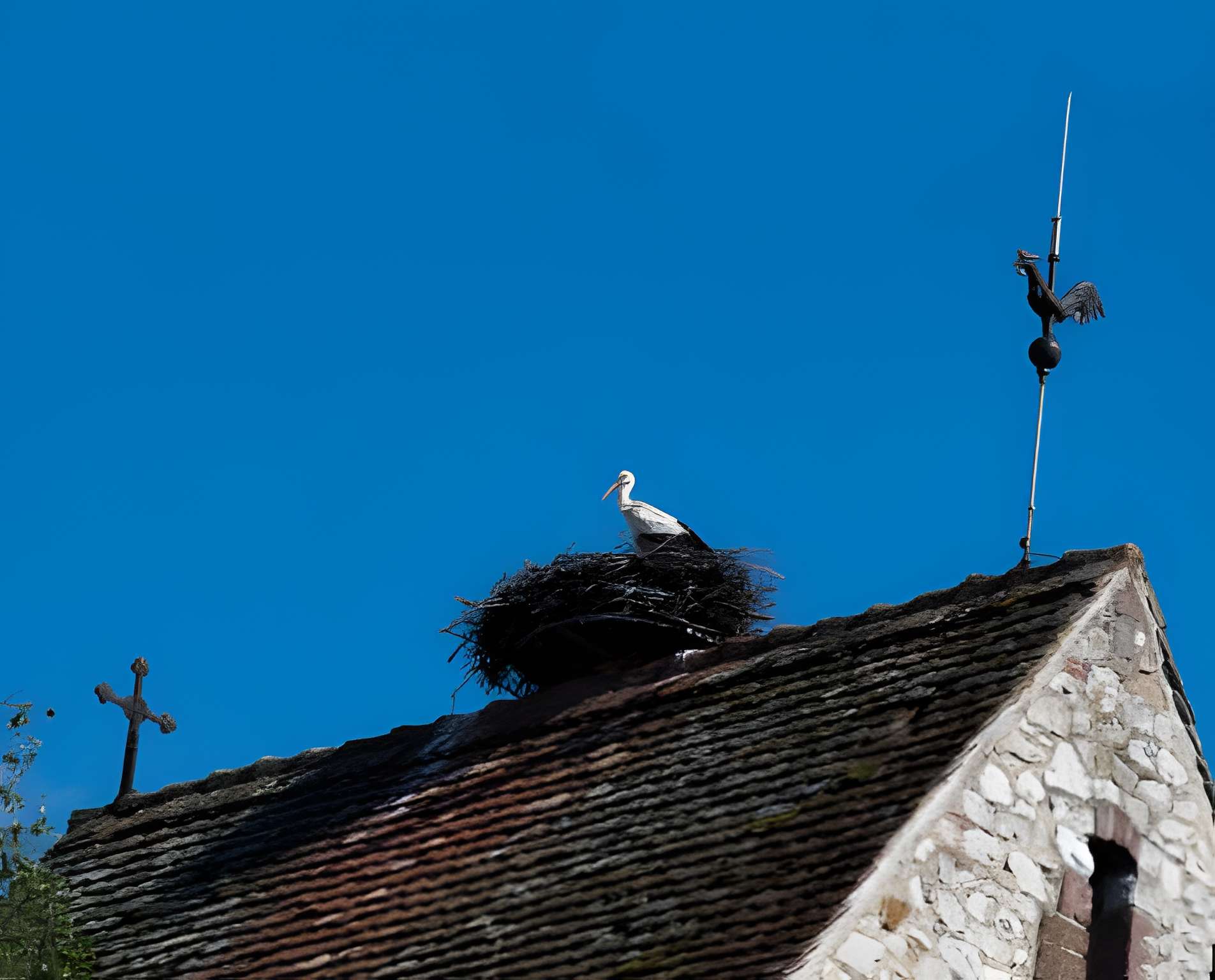 Église protestante de Muntzenheim