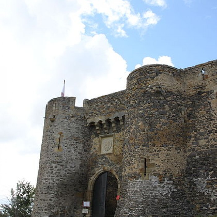 Photo de Ensemble des ruines du château fort