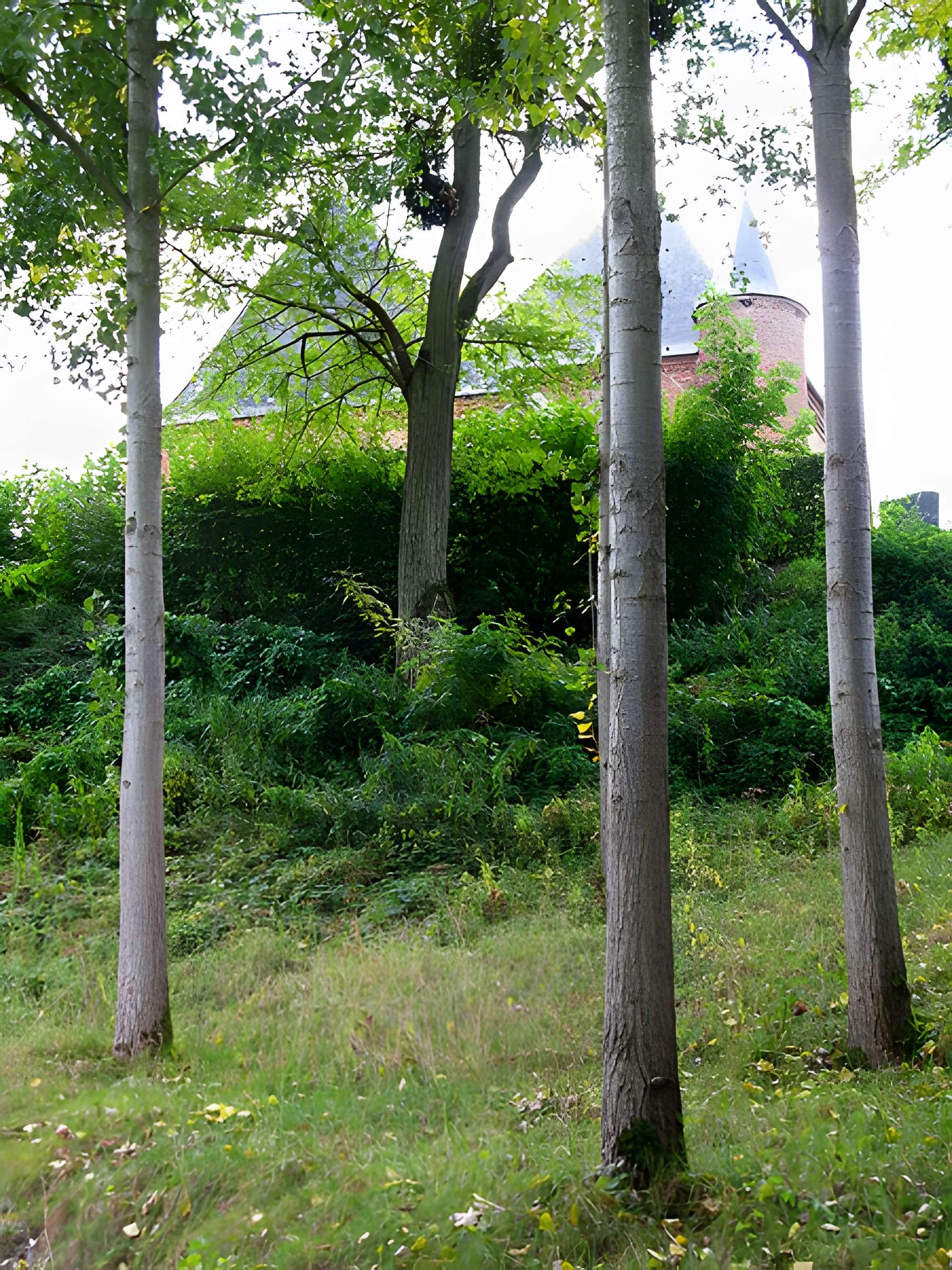 Église Saint-Algis de Saint-Algis