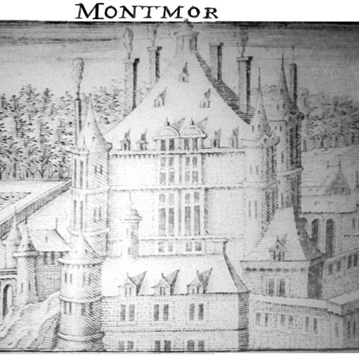 Photo de Château de Montmort