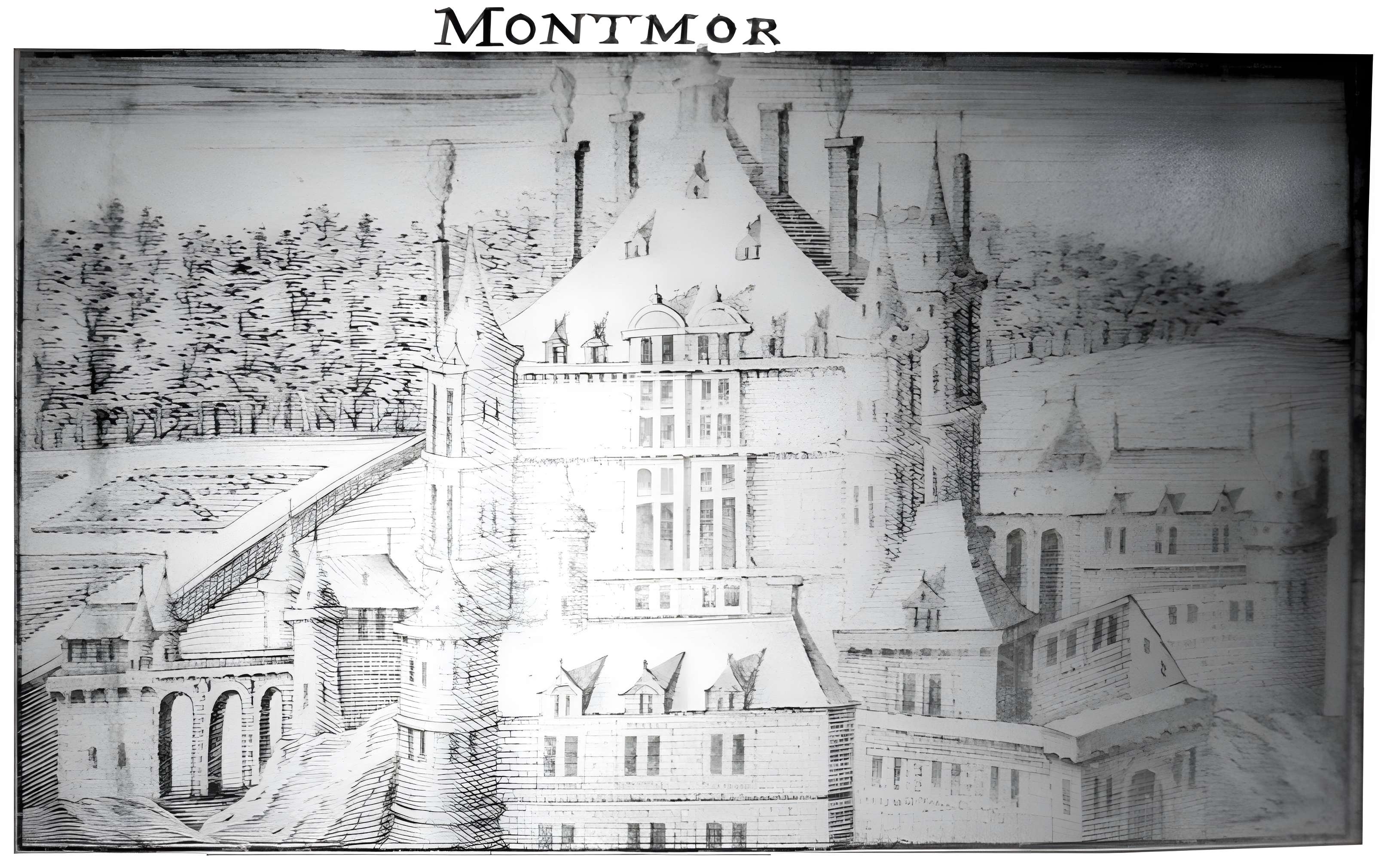 Château de Montmort