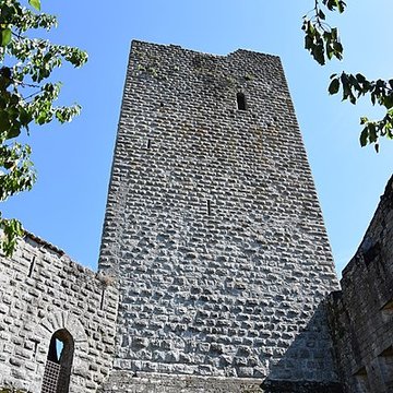 Château de Montréal