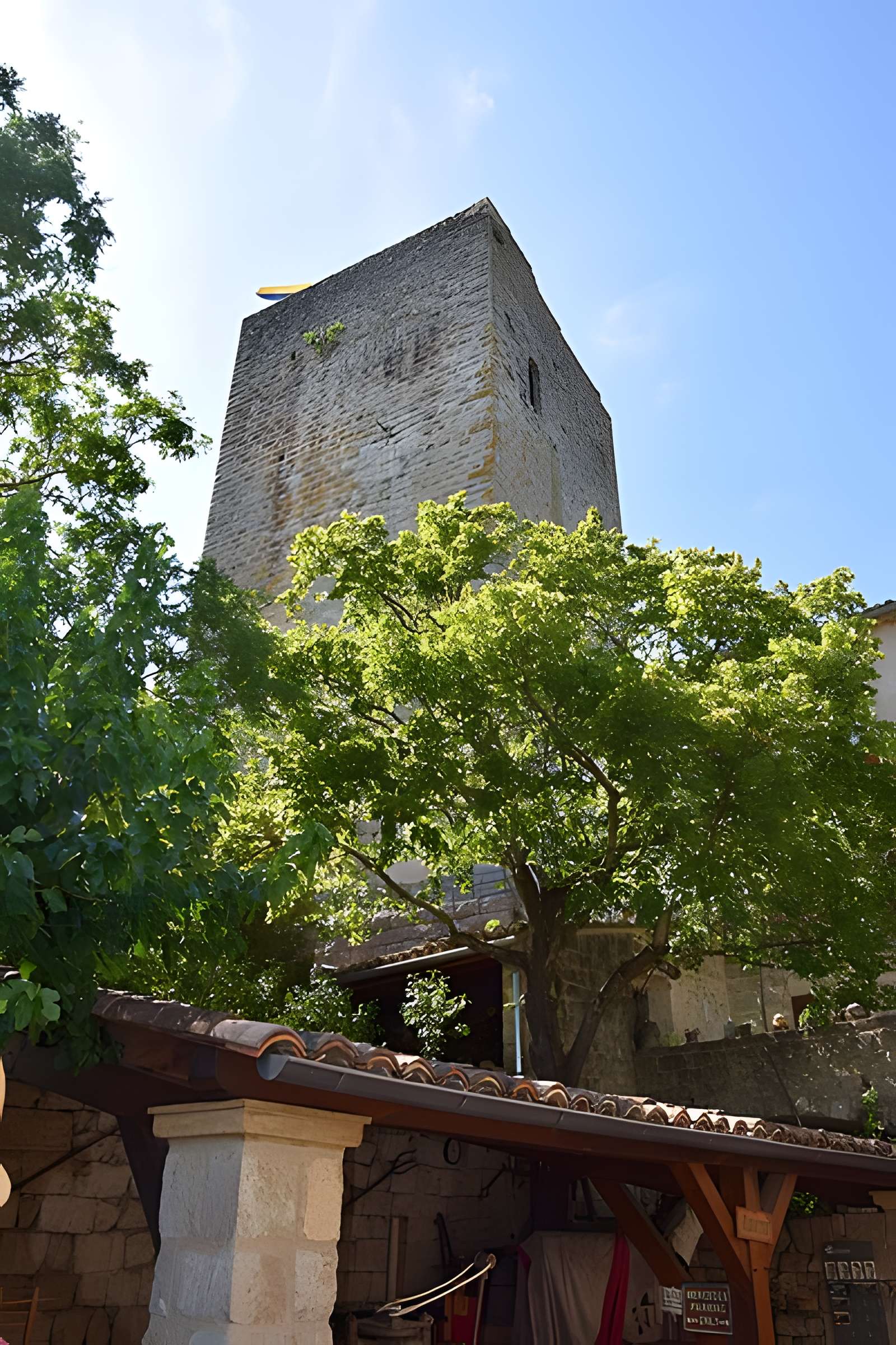 Château de Montréal