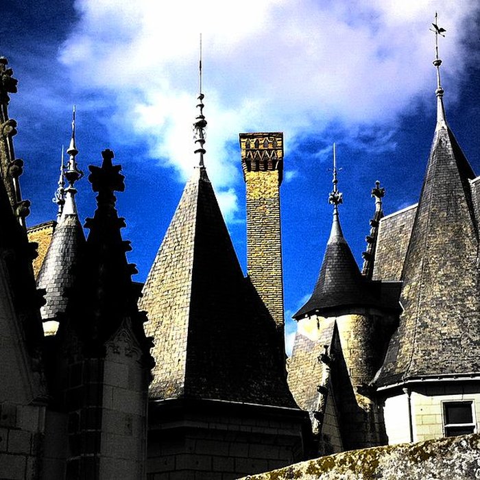 Photo de Château de Montreuil-Bellay