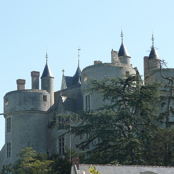 Photo de Château de Montreuil-Bellay