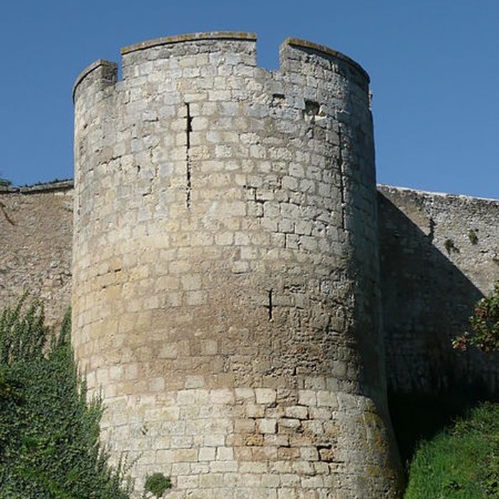 Photo de Château de Montreuil-Bellay