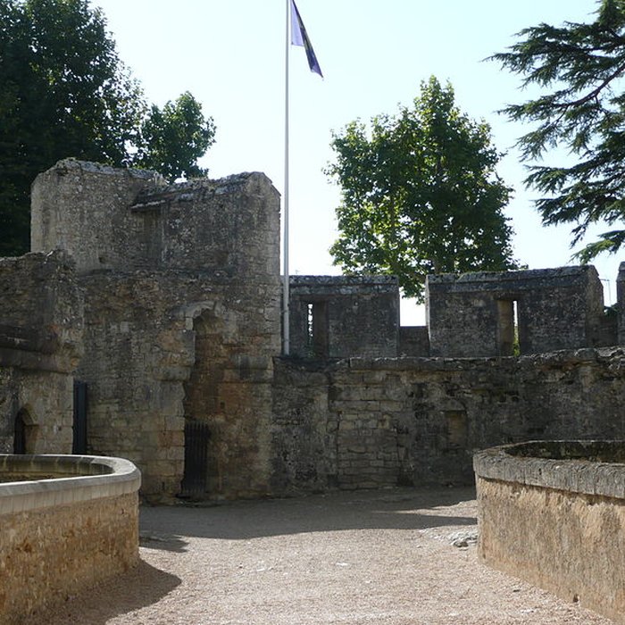 Photo de Château de Montreuil-Bellay