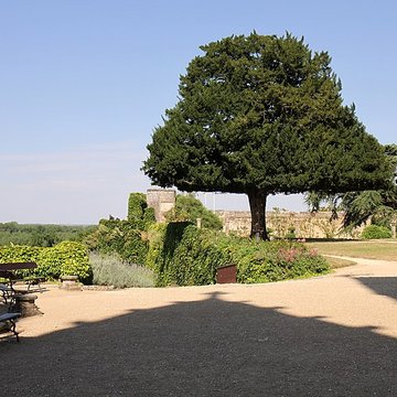 Château de Montreuil-Bellay