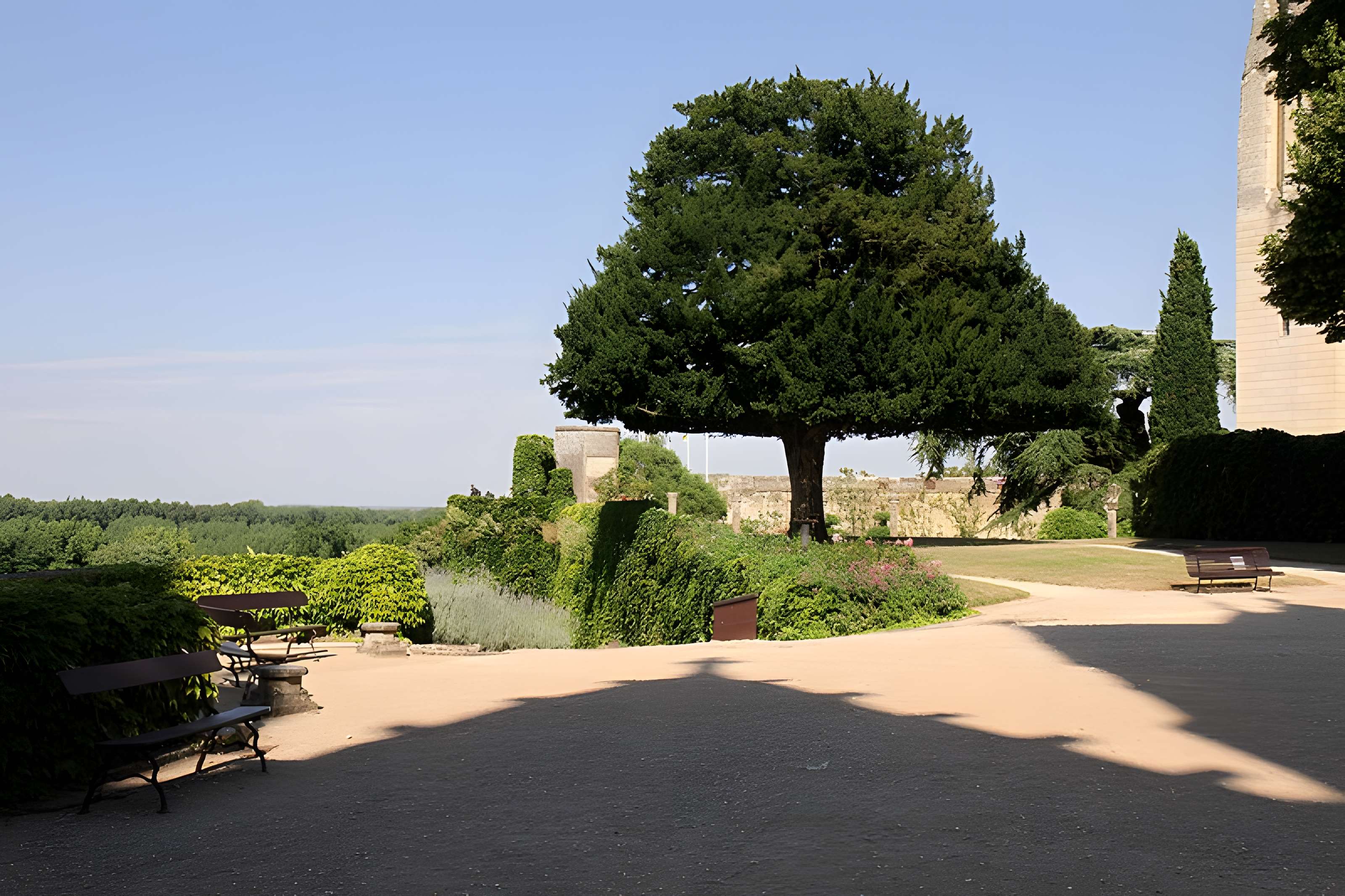Château de Montreuil-Bellay
