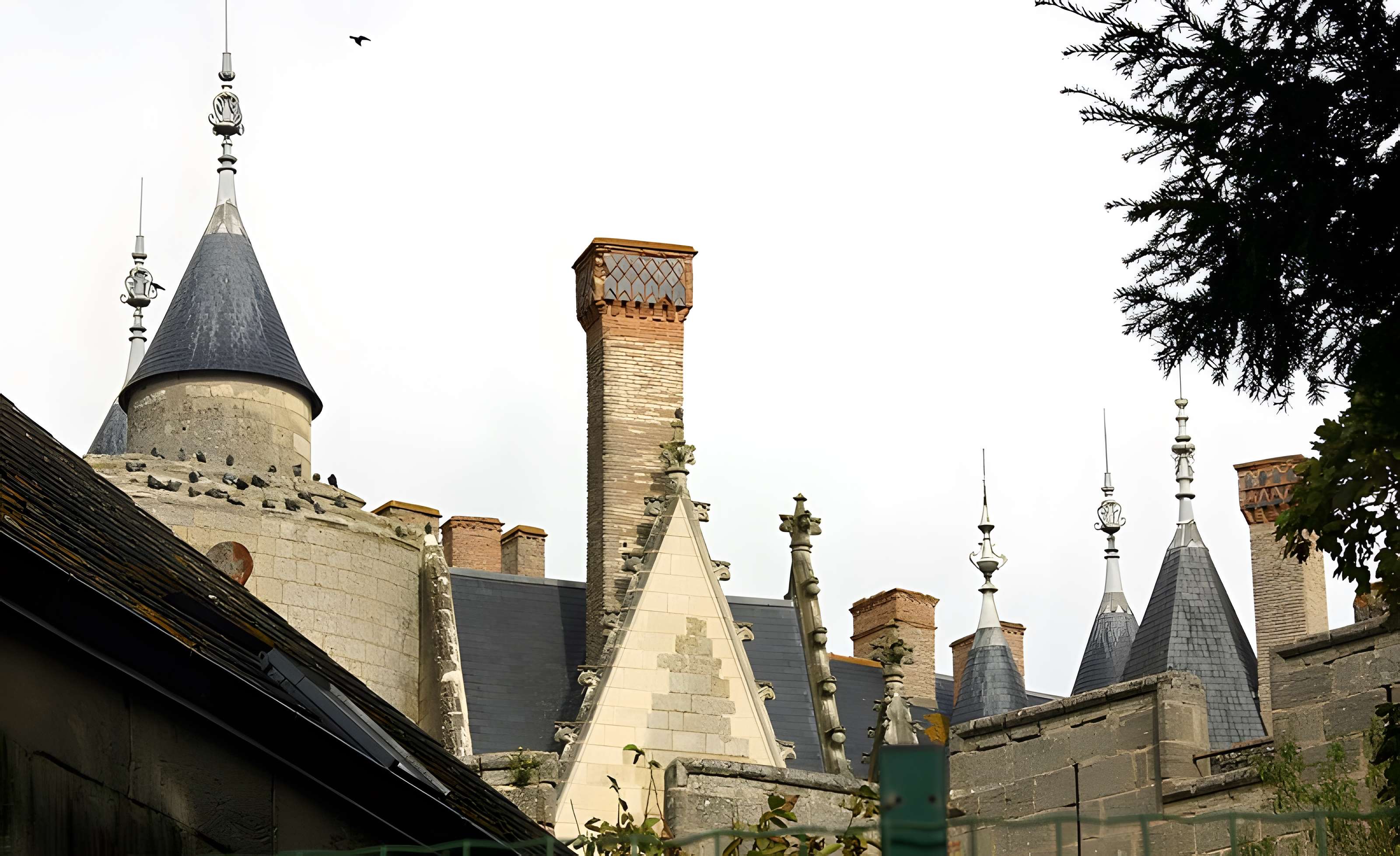 Château de Montreuil-Bellay