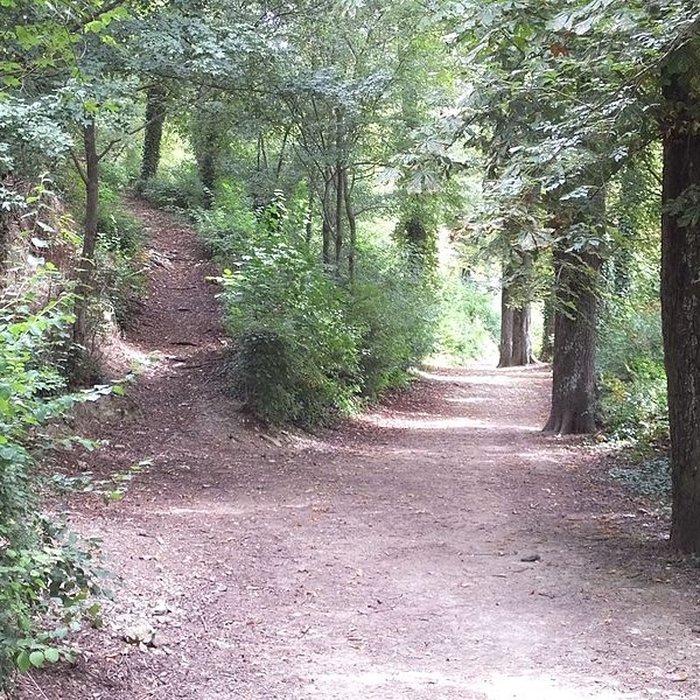 Photo de Château de Montrond à Saint-Amand-Montrond