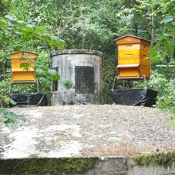 Château de Montrond à Saint-Amand-Montrond