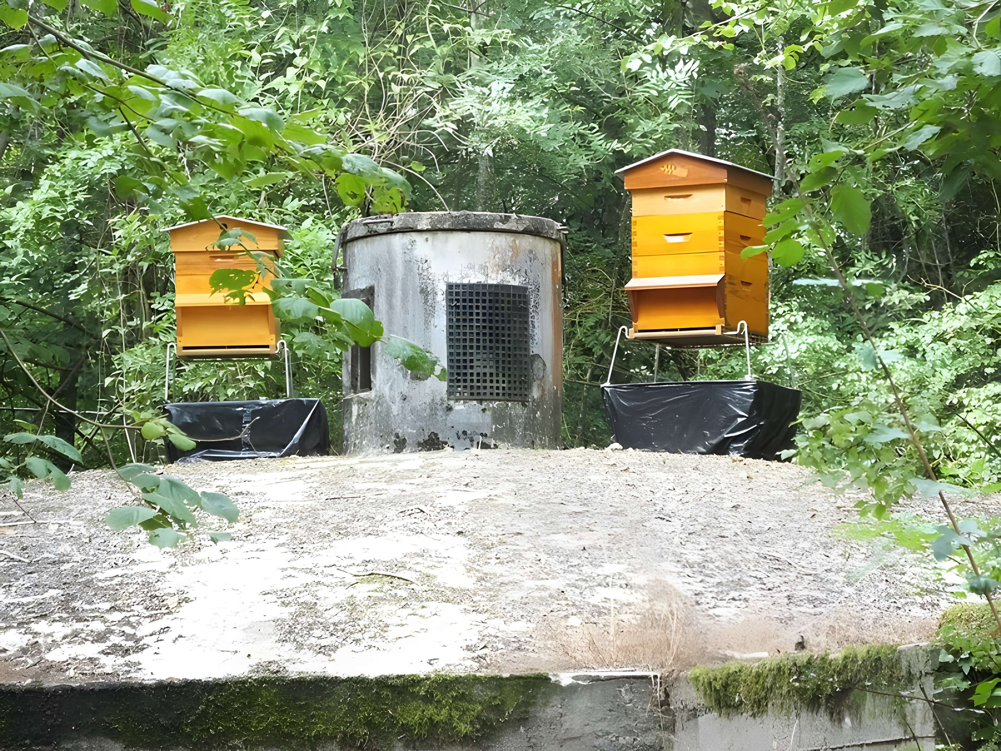 Château de Montrond à Saint-Amand-Montrond