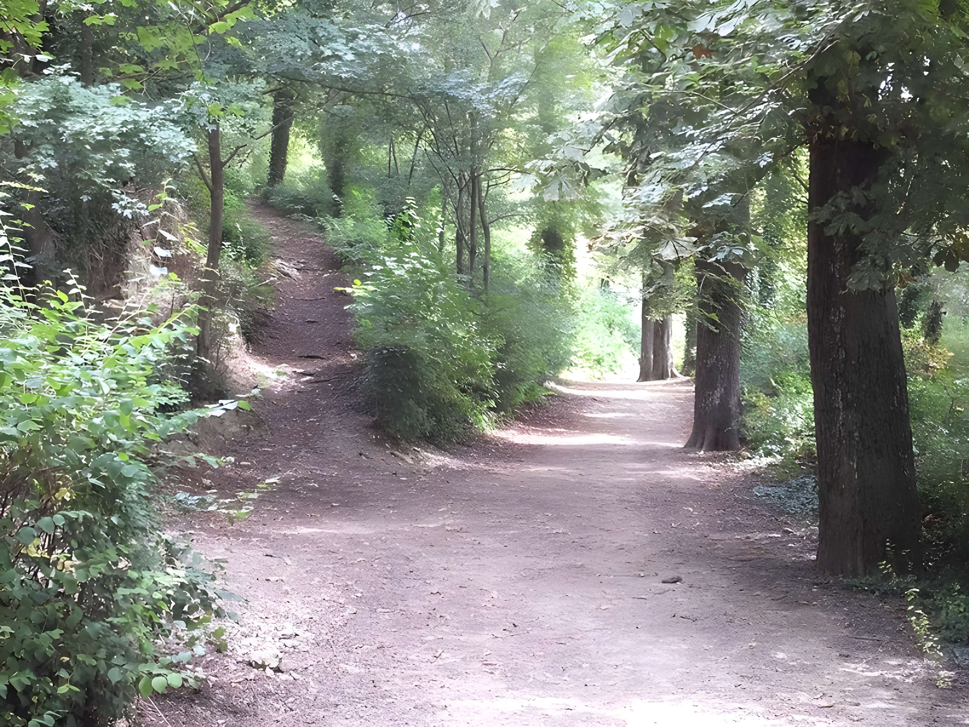Château de Montrond à Saint-Amand-Montrond