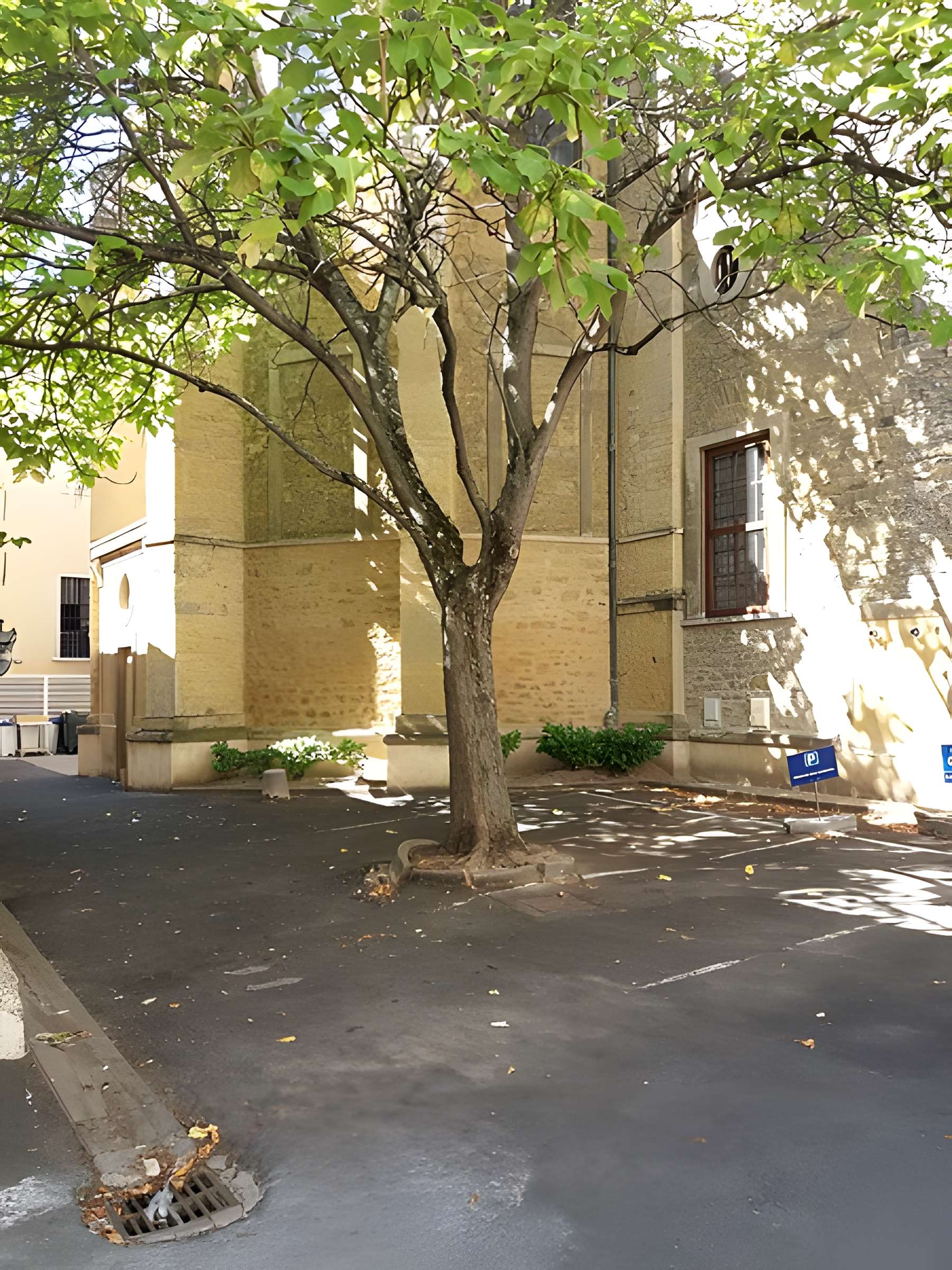 Église Saint-Bruno-les-Chartreux de Lyon 