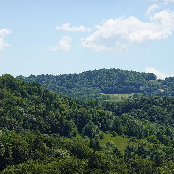 Photo de Château de Montrottier